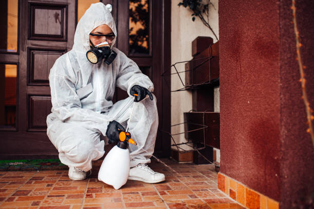 Reliable Bed Bug Control contractor in Boulder City, NV by Nex Pest Control