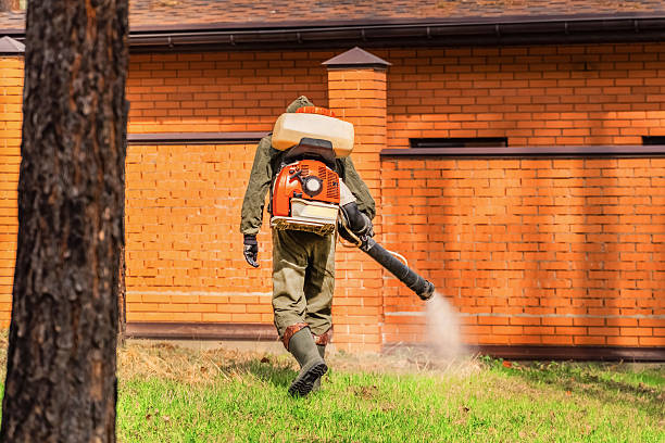 Trusted Bed Bug Control service in Boulder City, NV - Nex Pest Control